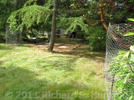 yard work 2011